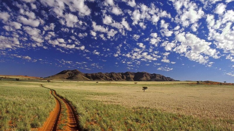 Dirt Road in Savanna — Blue