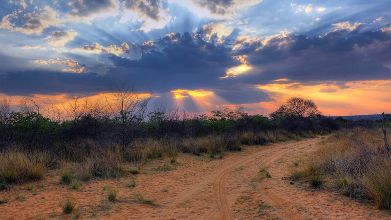 Dirt Road in Savanna — Orange, Dramatic