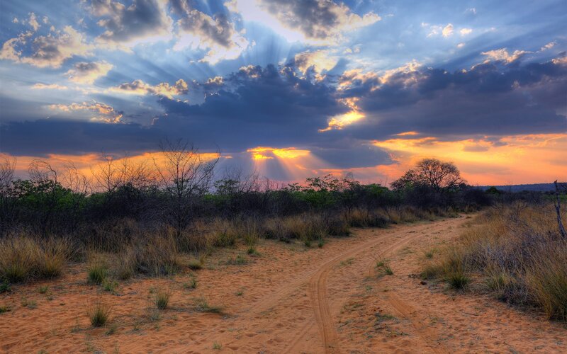 Dirt Road in Savanna — Orange