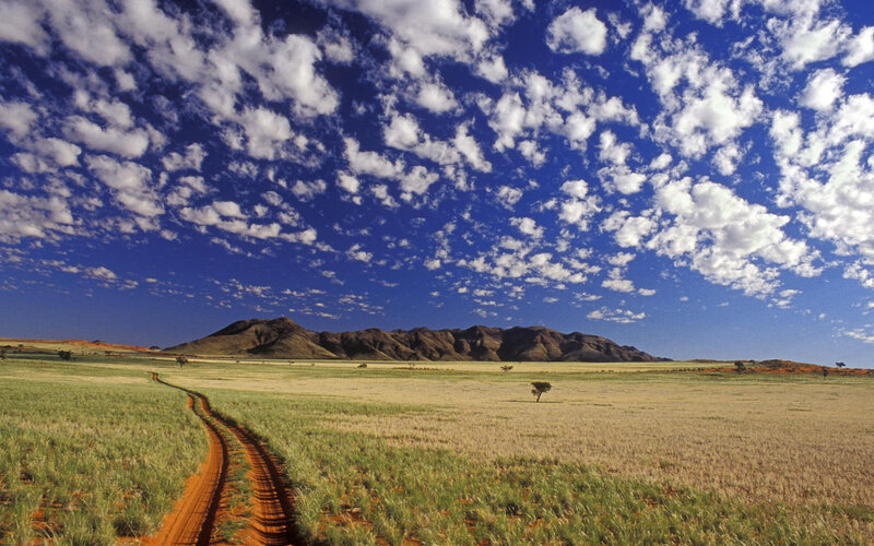 Dirt Road in Savanna