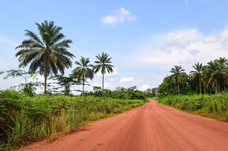 Dirt Road in Tropical Forest