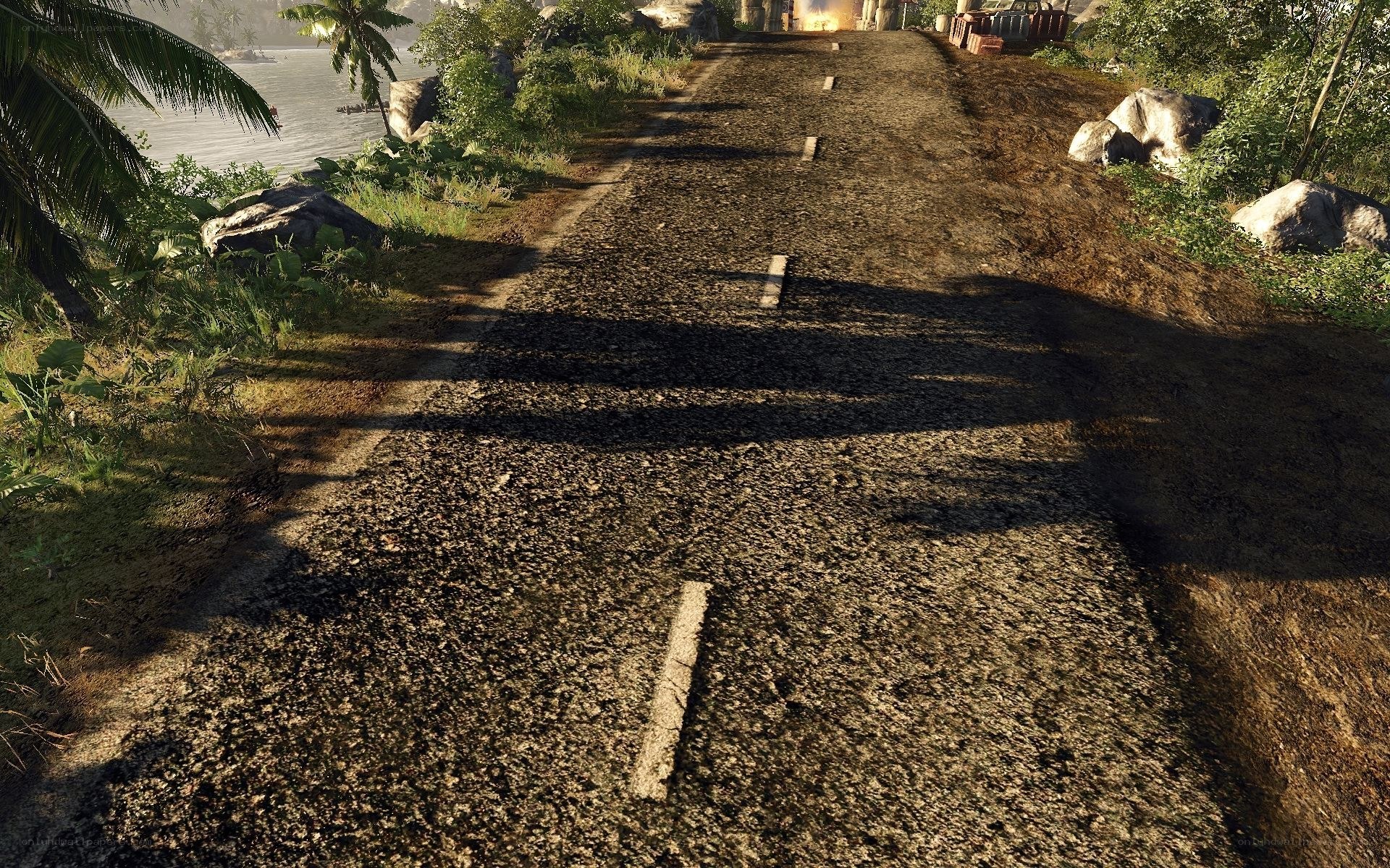 dirt road in tropical setting