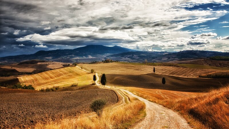 Dirt Road in Tuscany