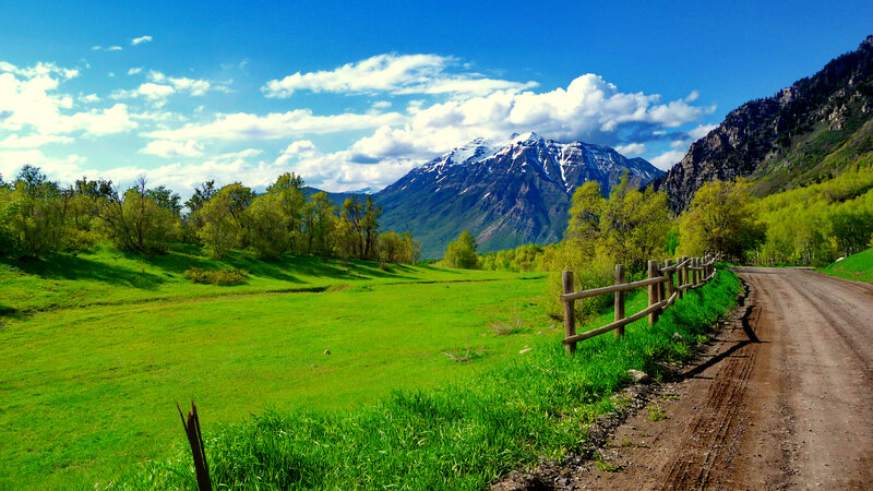 Dirt Road in Valley — Green, Serene, Afternoon, Photograph