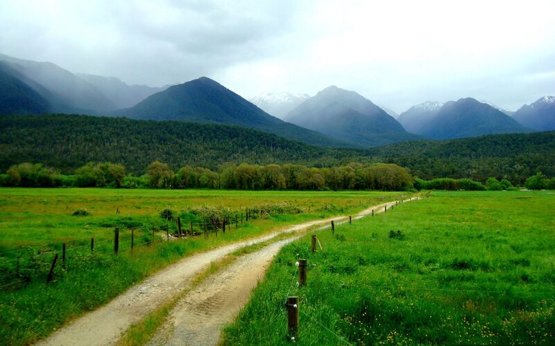Dirt Road in Valley — Green, Serene, Morning, Photograph