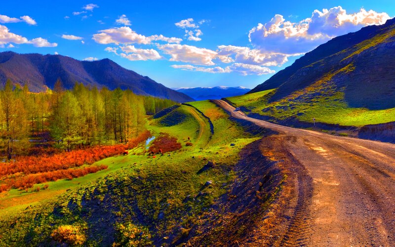 Dirt Road in Valley — Green