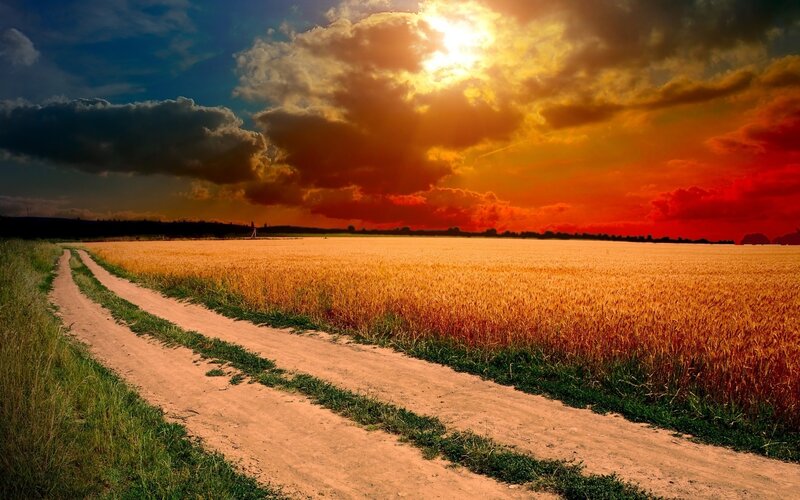 Dirt Road in Wheat Field — Orange, Dramatic