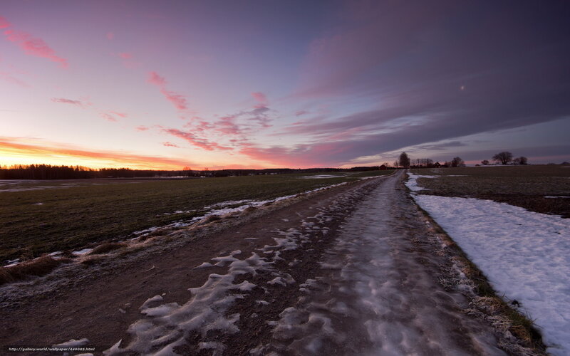 Dirt Road in Winter Field — Purple