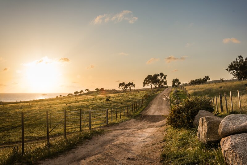 Dirt Road on Hillside — Green
