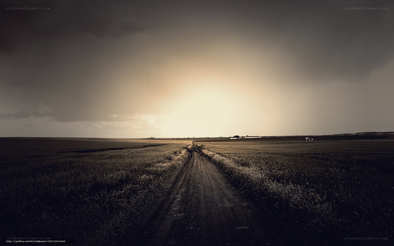 Dirt road through a field