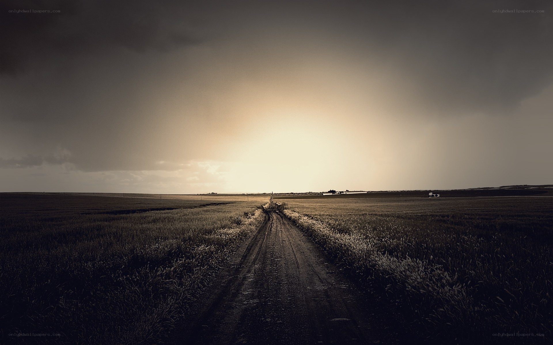Dirt road through a field at sunset