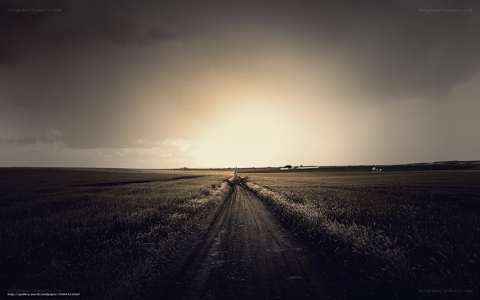 Dirt road through a field