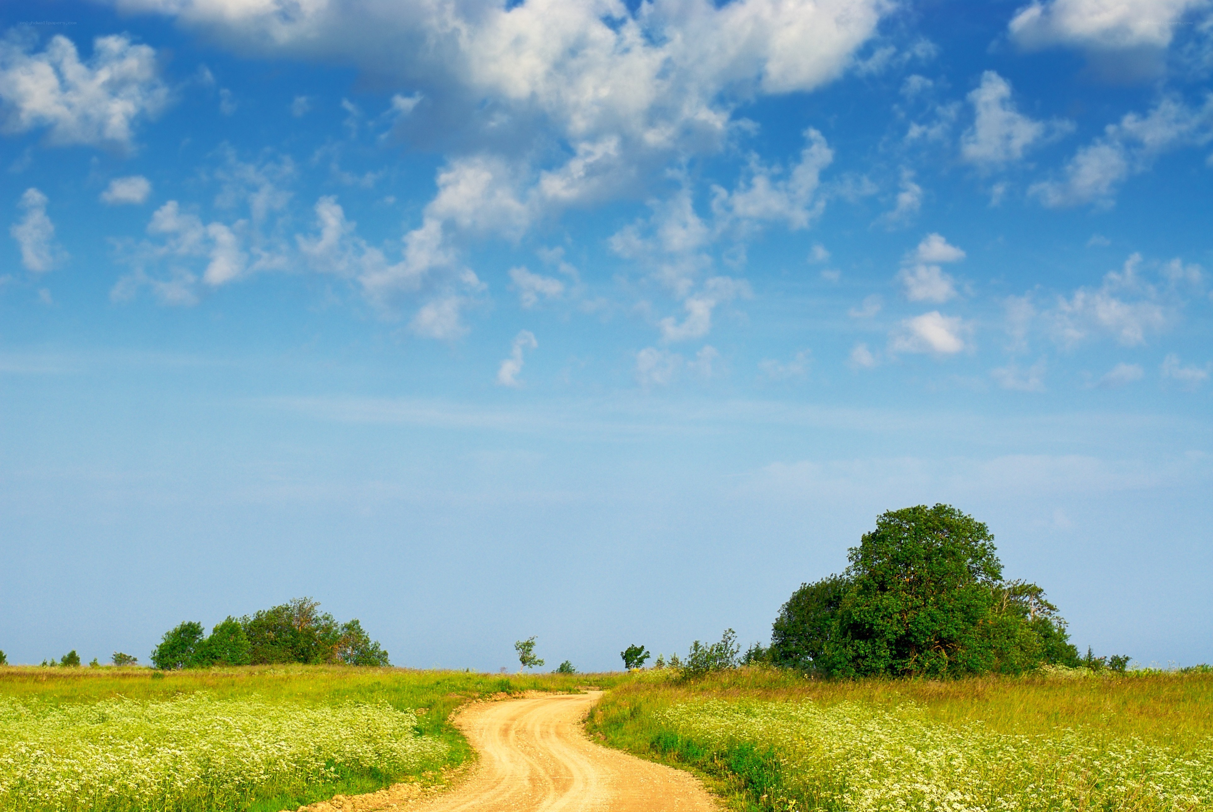 Dirt road through a green field