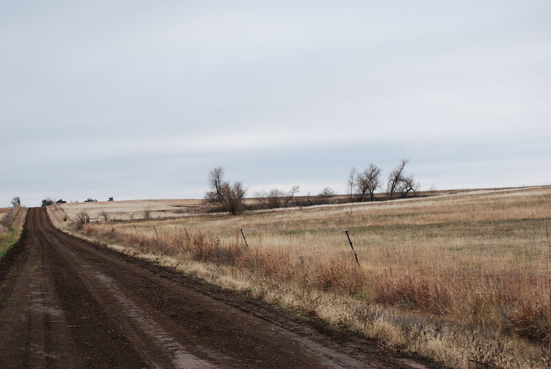 Dirt road through a rural field