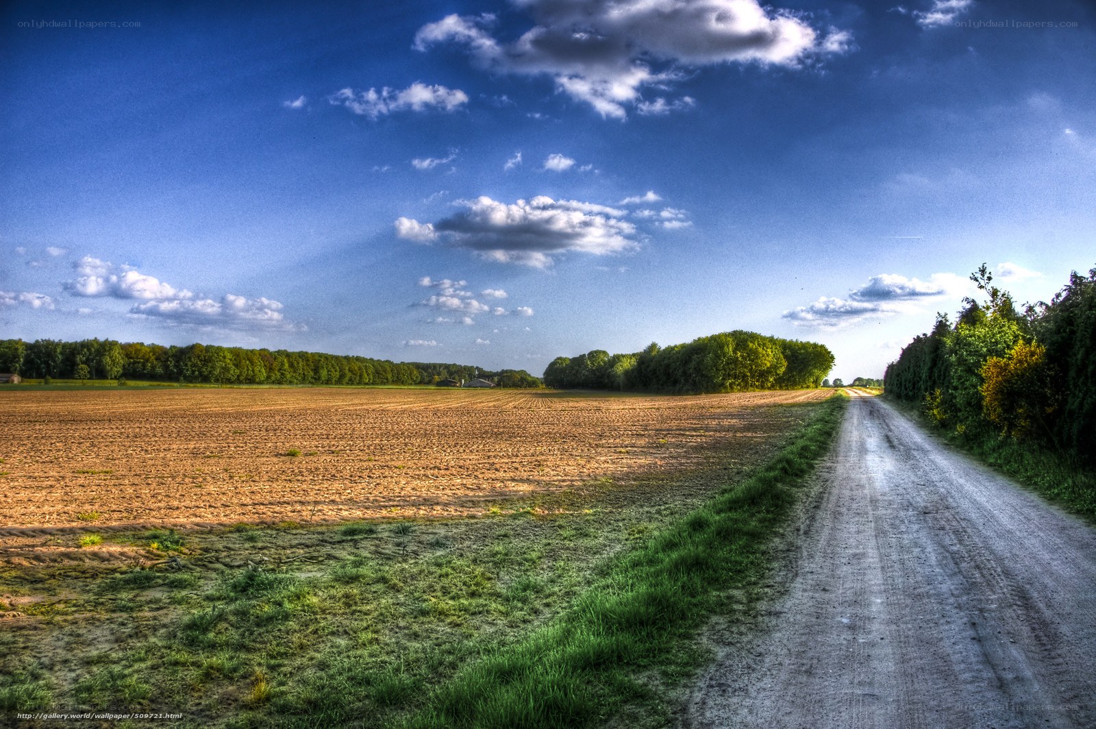 Dirt road through a rural landscape