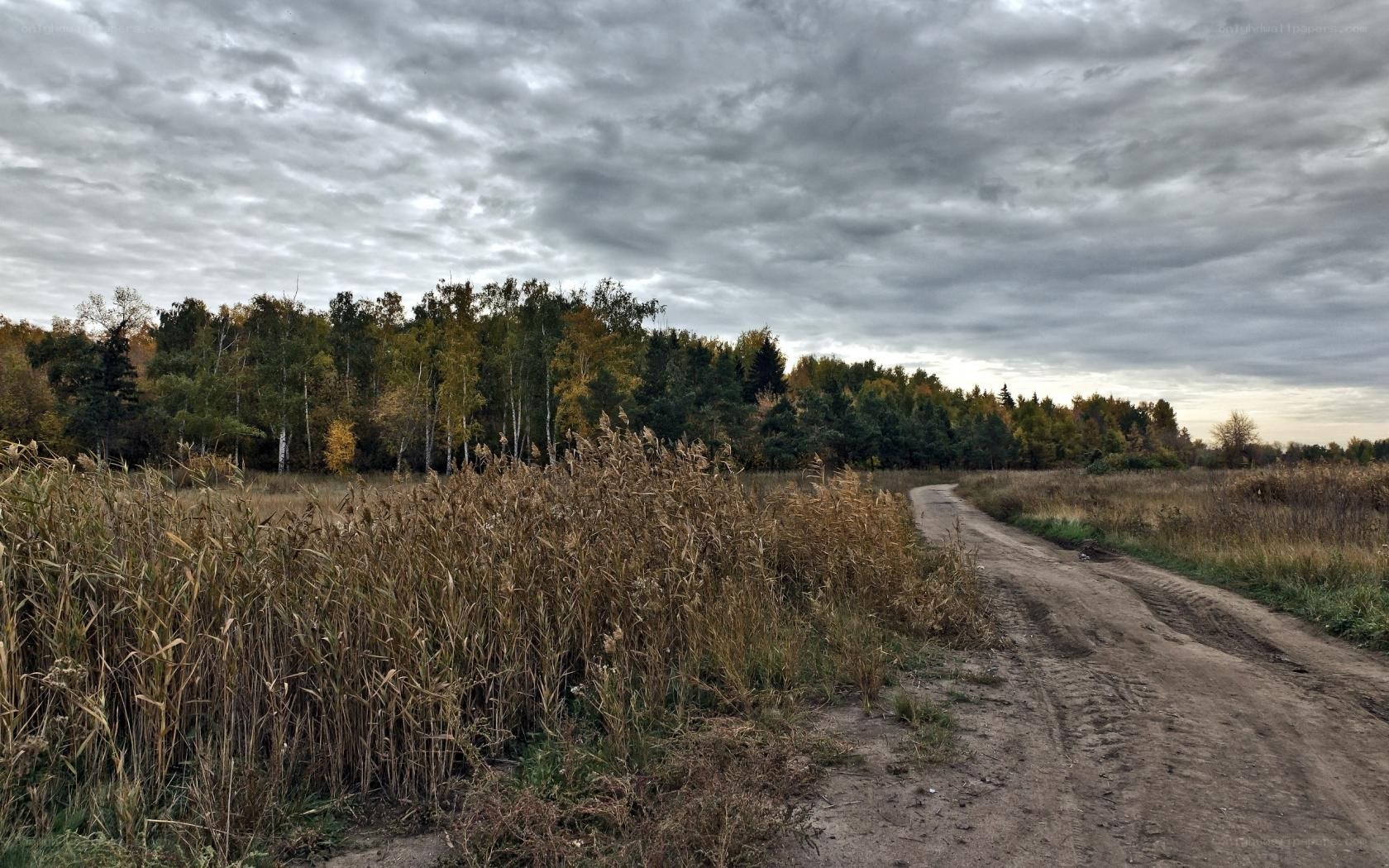 Dirt road through autumn field