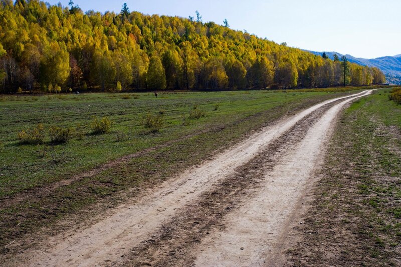 Dirt road through autumn forest