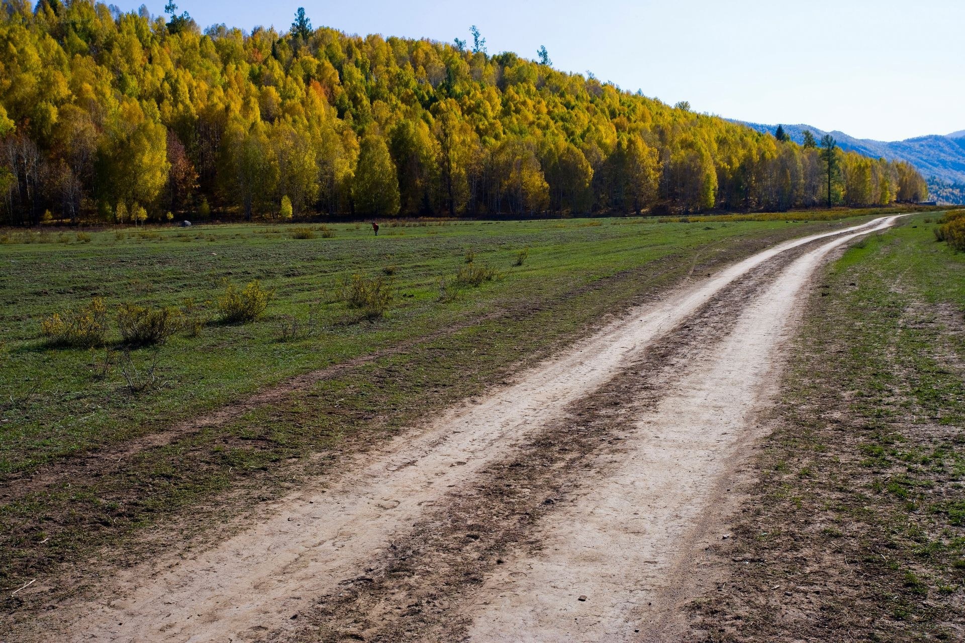 Dirt road through autumn forest