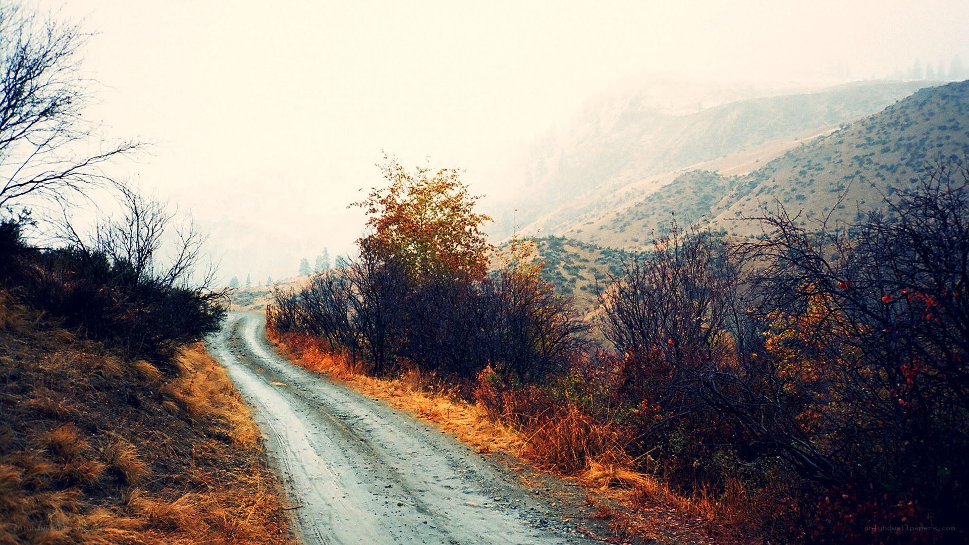 Dirt road through autumn hills