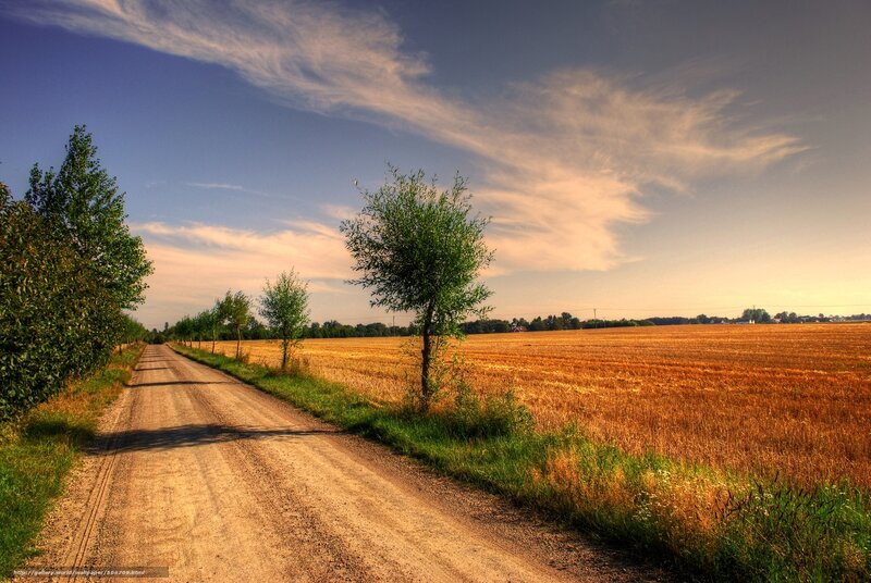 Dirt Road Through Field — Blue