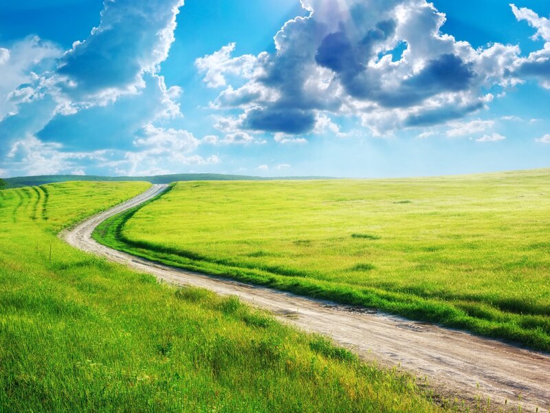 Dirt Road Through Field — Green, Serene, Afternoon