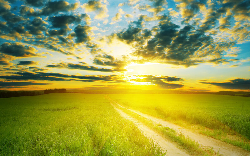 Dirt Road Through Field — Green, Serene