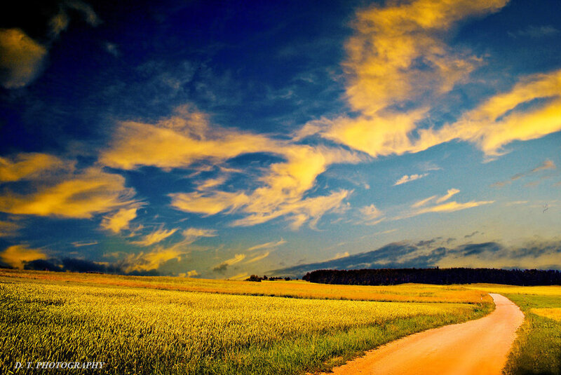 Dirt Road Through Field