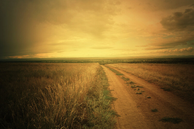 Dirt Road Through Field — Yellow, Dramatic