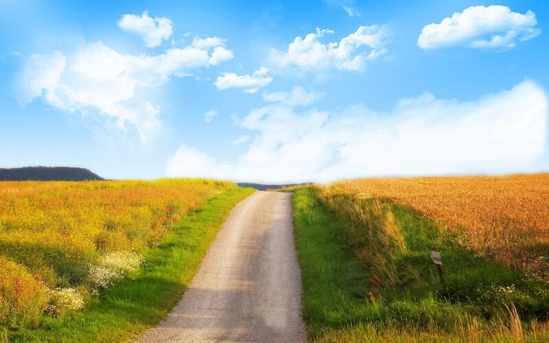 Dirt Road Through Fields — Blue, Serene, Afternoon, Photograph, Sky