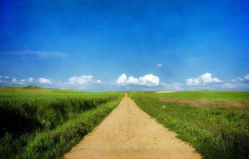 Dirt Road Through Fields — Blue, Serene, Afternoon, Photograph