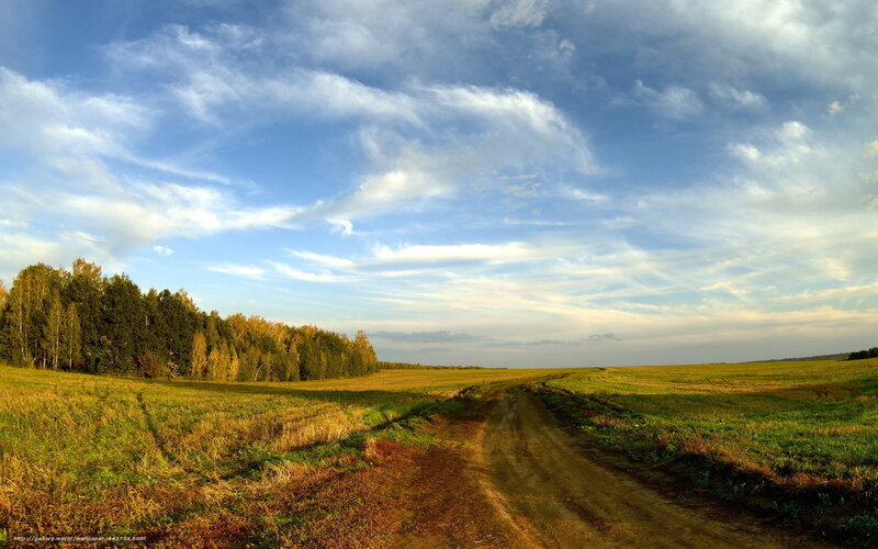 Dirt Road Through Fields — Blue, Serene, Afternoon, Photograph, Trees, Sky