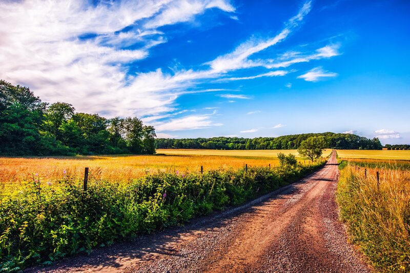 Dirt Road Through Fields — Blue, Serene, Afternoon, Photograph, Trees