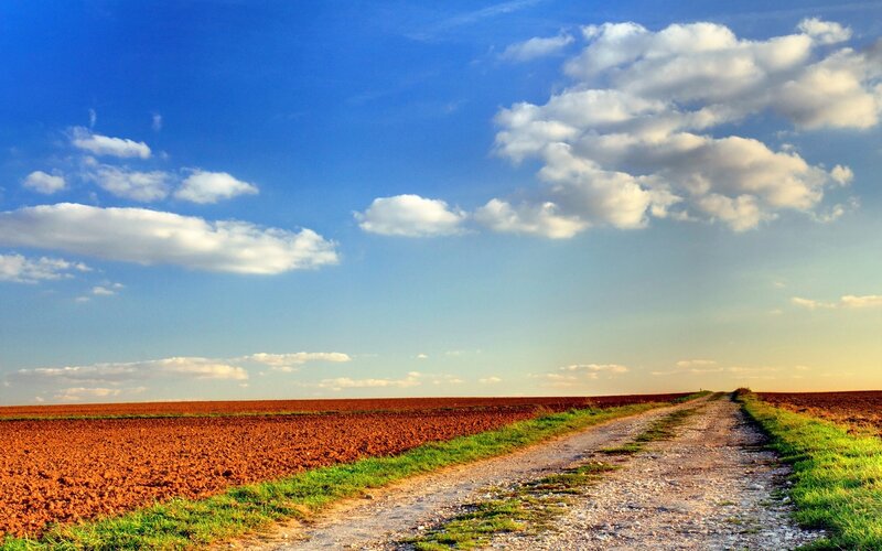 Dirt Road Through Fields — Blue, Serene, Afternoon