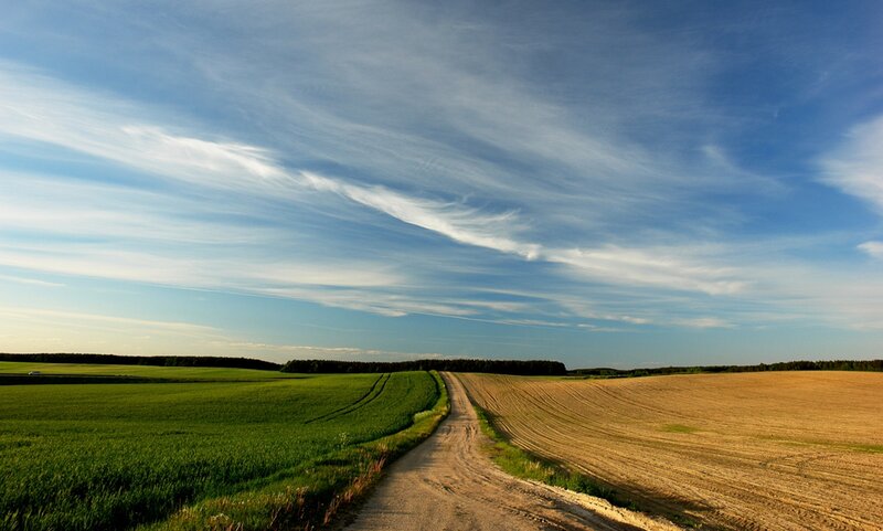 Dirt Road Through Fields — Blue, Serene