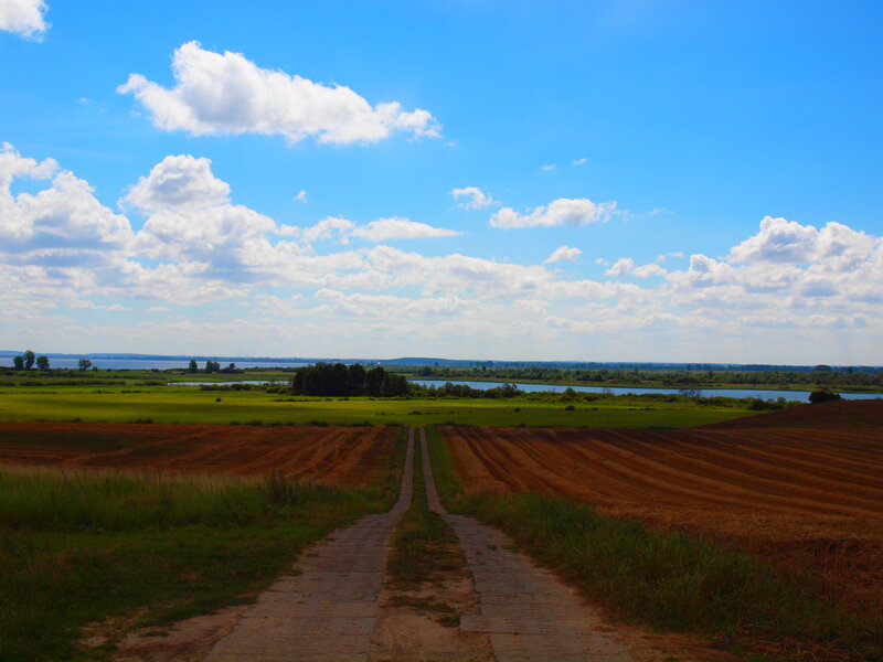 Dirt Road Through Fields — Blue