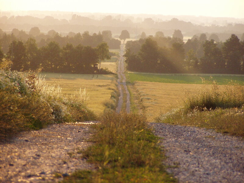 Dirt Road Through Fields — Brown