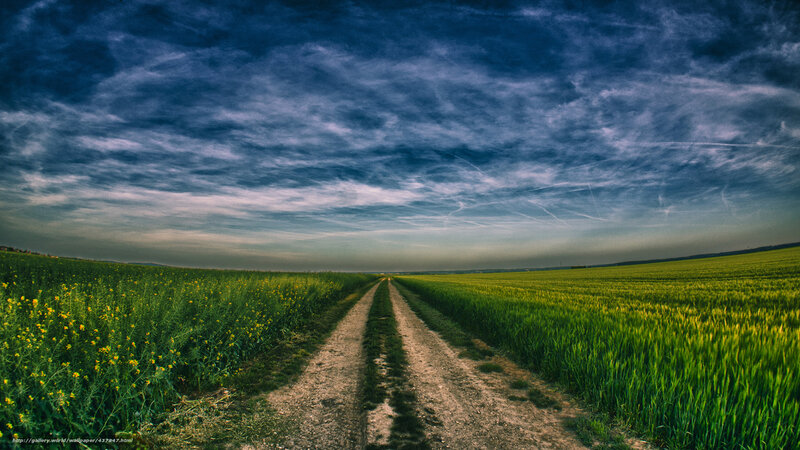Dirt Road Through Fields — Green, Dramatic, Afternoon