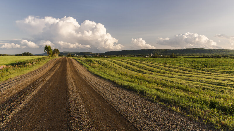 Dirt Road Through Fields — Green, Serene, Afternoon, Photograph, Clouds