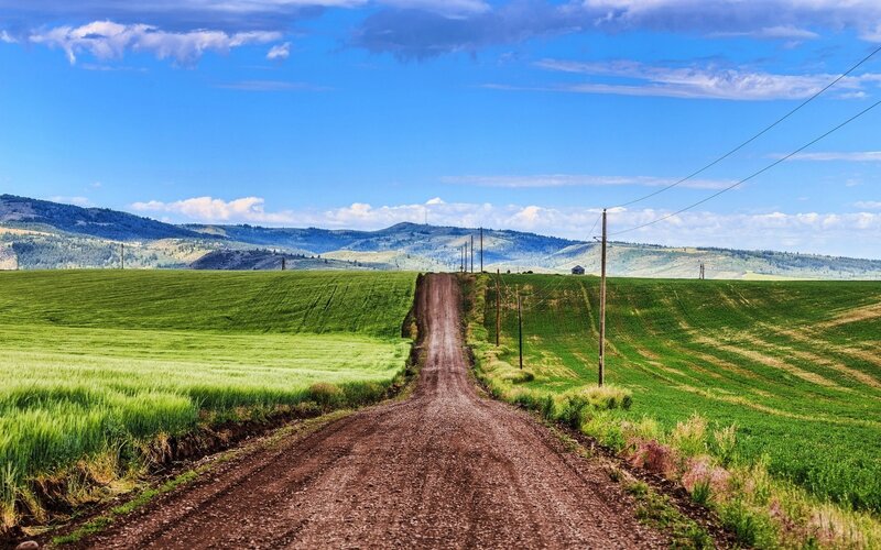 Dirt Road Through Fields — Green, Serene, Afternoon, Photograph, Hills, Power Lines