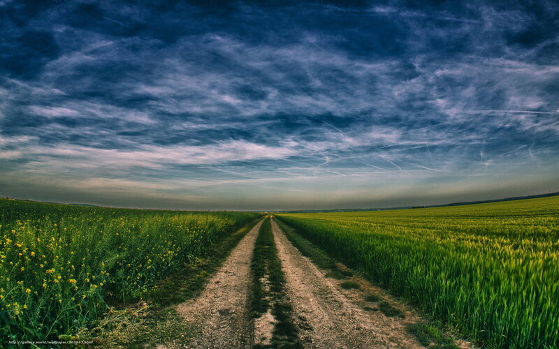 Dirt Road Through Fields — Green, Serene, Afternoon, Photograph, Sky