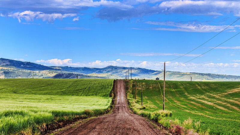 Dirt Road Through Fields — Green, Serene, Afternoon, Photograph