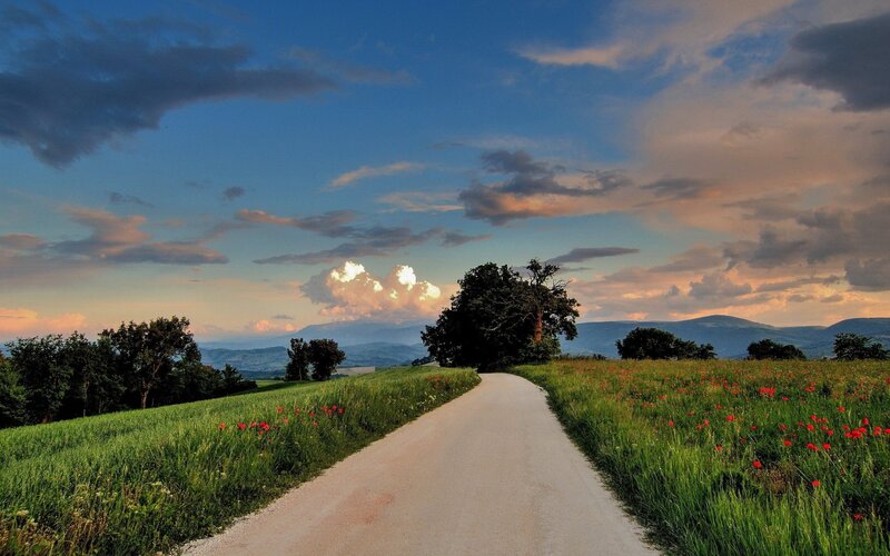 Dirt Road Through Fields — Green, Serene, Sunset