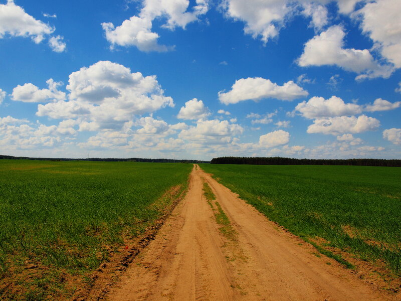 Dirt Road Through Fields — Green, Serene