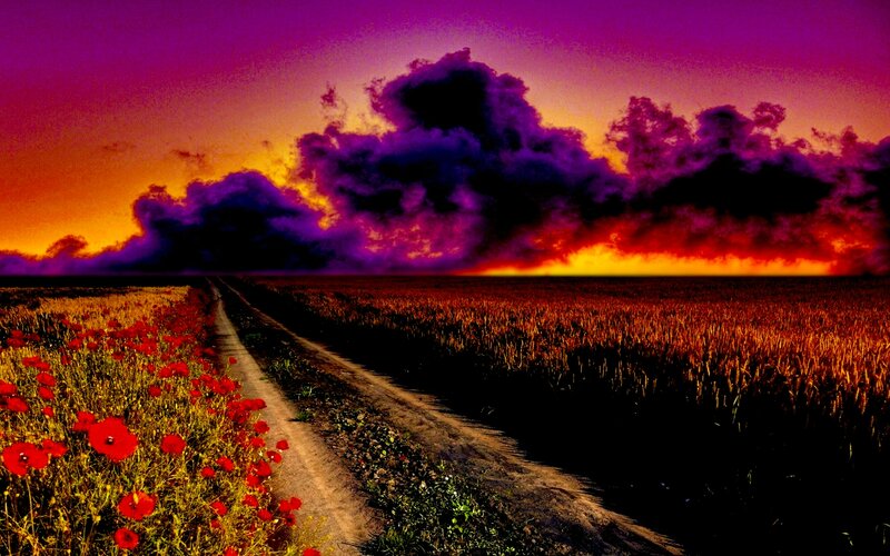 Dirt Road Through Fields — Purple