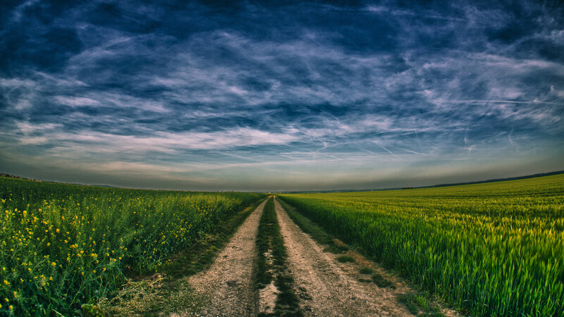 Dirt Road Through Fields