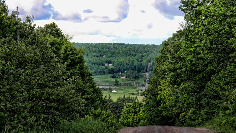 Dirt Road Through Forest — Green