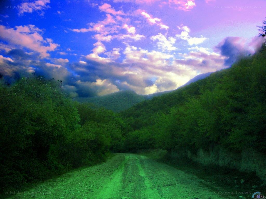 Dirt road through forested hills