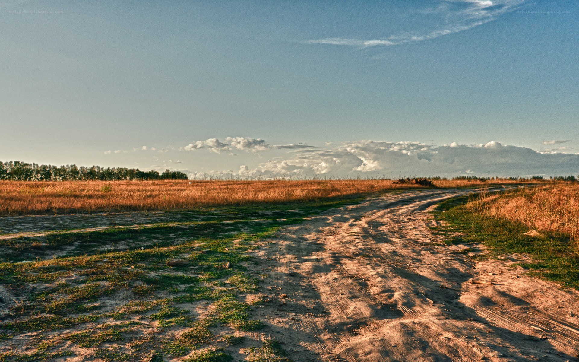 Dirt road through golden field