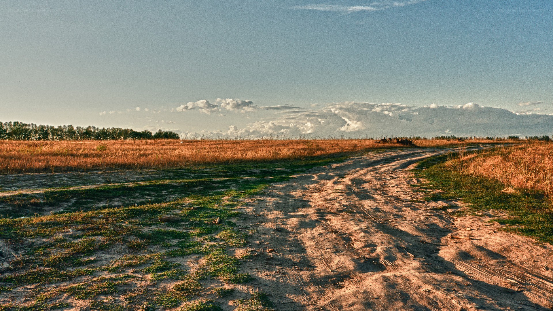 Dirt road through golden field