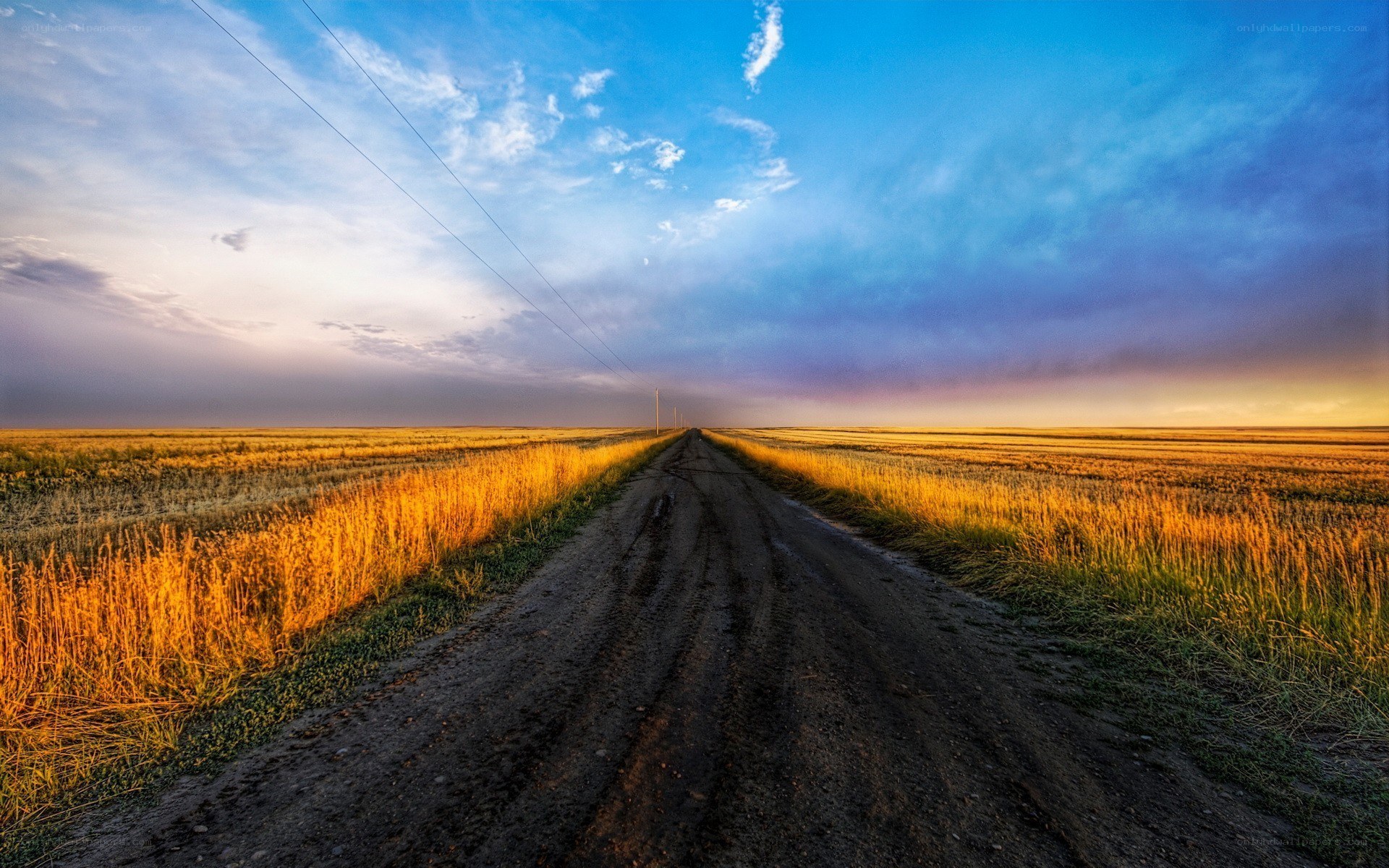 Dirt road through golden fields